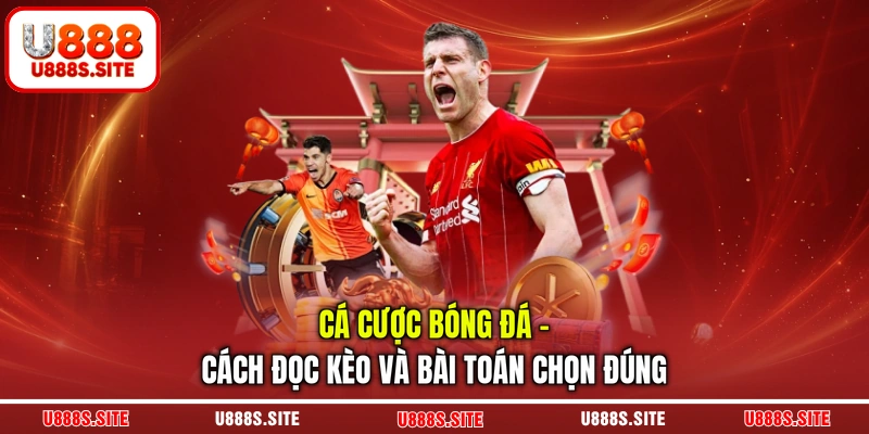 cá cược bóng đá