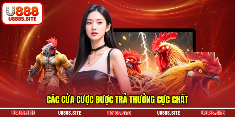 Các cửa cược được trả thưởng cực chất Các cửa cược được trả thưởng cực chất