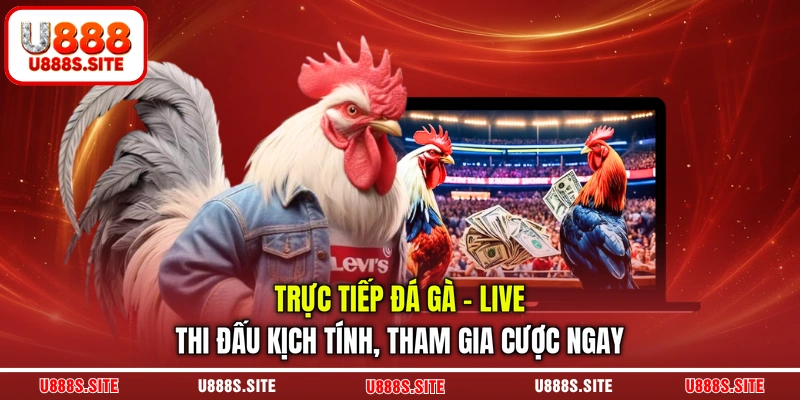 trực tiếp đá gà